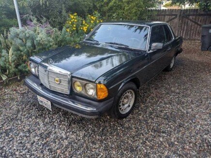 Photo 1 for 1981 Mercedes-Benz 300CD