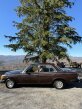 Thumbnail Photo 2 for 1981 Mercedes-Benz 300D for Sale by Owner