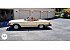 1981 Mercedes-Benz Other Mercedes-Benz Models