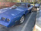 Thumbnail Photo 3 for 1981 Pontiac Firebird