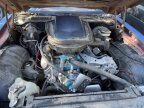 Thumbnail Photo 4 for 1981 Pontiac Firebird