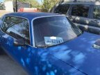 Thumbnail Photo 2 for 1981 Pontiac Firebird