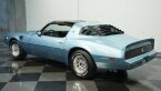 Thumbnail Photo 6 for 1981 Pontiac Firebird