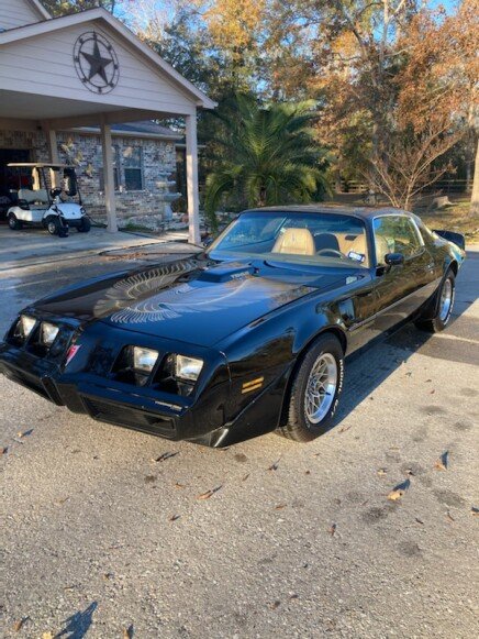 Photo 1 for 1981 Pontiac Firebird Coupe for Sale by Owner