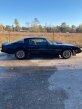 Thumbnail Photo 3 for 1981 Pontiac Firebird Coupe for Sale by Owner