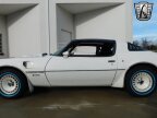 Thumbnail Photo 6 for 1981 Pontiac Firebird Trans Am