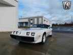 Thumbnail Photo 4 for 1981 Pontiac Firebird Trans Am