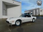 Thumbnail Photo 2 for 1981 Pontiac Firebird Trans Am