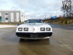 Thumbnail Photo 3 for 1981 Pontiac Firebird Trans Am