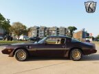 Thumbnail Photo 3 for 1981 Pontiac Firebird Trans Am