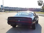 Thumbnail Photo 6 for 1981 Pontiac Firebird Trans Am