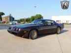 Thumbnail Photo 2 for 1981 Pontiac Firebird Trans Am
