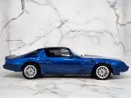 Thumbnail Photo 4 for 1981 Pontiac Firebird Trans Am