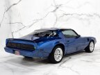 Thumbnail Photo 6 for 1981 Pontiac Firebird Trans Am