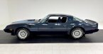 Thumbnail Photo 1 for 1981 Pontiac Firebird Trans Am