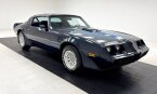 Thumbnail Photo 6 for 1981 Pontiac Firebird Trans Am