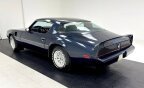 Thumbnail Photo 2 for 1981 Pontiac Firebird Trans Am