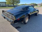 Thumbnail Photo 3 for 1981 Pontiac Firebird Trans Am