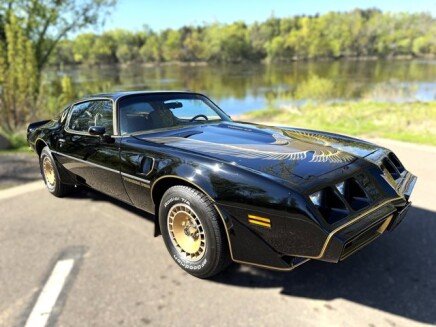 Photo 1 for 1981 Pontiac Firebird Trans Am