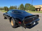 Thumbnail Photo 6 for 1981 Pontiac Firebird Trans Am