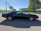 Thumbnail Photo 2 for 1981 Pontiac Firebird Trans Am