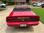Thumbnail Photo 6 for 1981 Pontiac Firebird