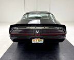 Thumbnail Photo 3 for 1981 Pontiac Firebird