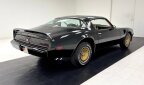 Thumbnail Photo 4 for 1981 Pontiac Firebird
