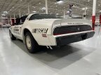 Thumbnail Photo 4 for 1981 Pontiac Firebird