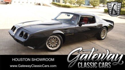 Photo 1 for 1981 Pontiac Firebird Trans Am