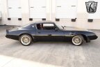 Thumbnail Photo 5 for 1981 Pontiac Firebird Trans Am