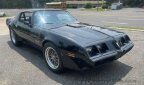 Thumbnail Photo 1 for 1981 Pontiac Firebird