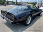 Thumbnail Photo 4 for 1981 Pontiac Firebird