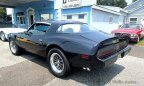 Thumbnail Photo 3 for 1981 Pontiac Firebird