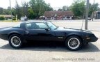 Thumbnail Photo 6 for 1981 Pontiac Firebird