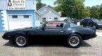 Thumbnail Photo 5 for 1981 Pontiac Firebird