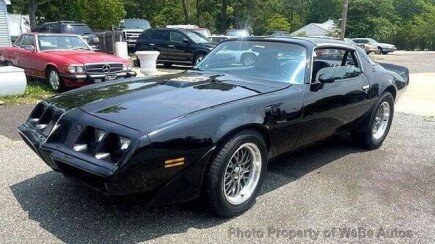 Photo 1 for 1981 Pontiac Firebird