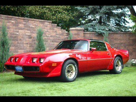 Photo 1 for 1981 Pontiac Firebird