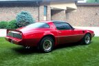 Thumbnail Photo 4 for 1981 Pontiac Firebird