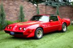 Thumbnail Photo 1 for 1981 Pontiac Firebird