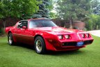 Thumbnail Photo 3 for 1981 Pontiac Firebird