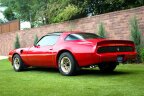Thumbnail Photo 6 for 1981 Pontiac Firebird