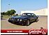 1981 Pontiac Firebird Trans Am