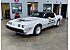 1981 Pontiac Firebird