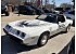 1981 Pontiac Firebird Trans Am Turbo Special