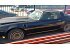 1981 Pontiac Firebird Trans Am