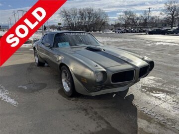 1981 Pontiac Firebird Trans Am