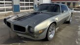 1981 Pontiac Firebird Trans Am