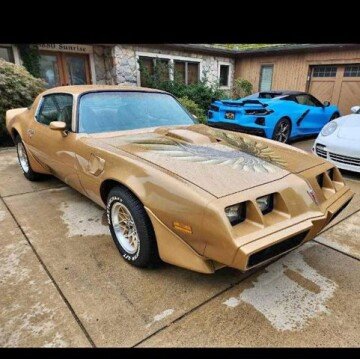 1981 Pontiac Firebird