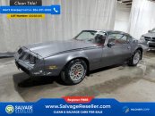 New 1981 Pontiac Firebird